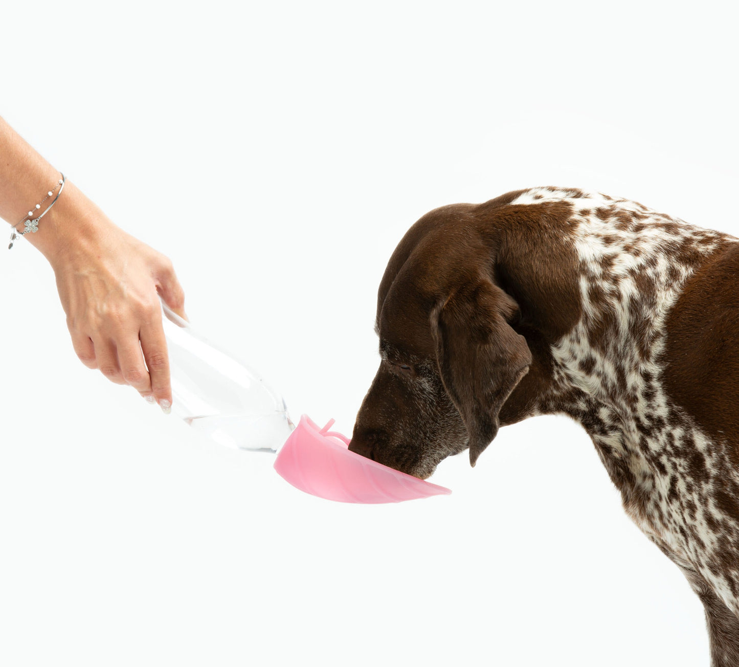 UNITED PETS - BOTELLA BEBEDERO LEAF PARA PERROS