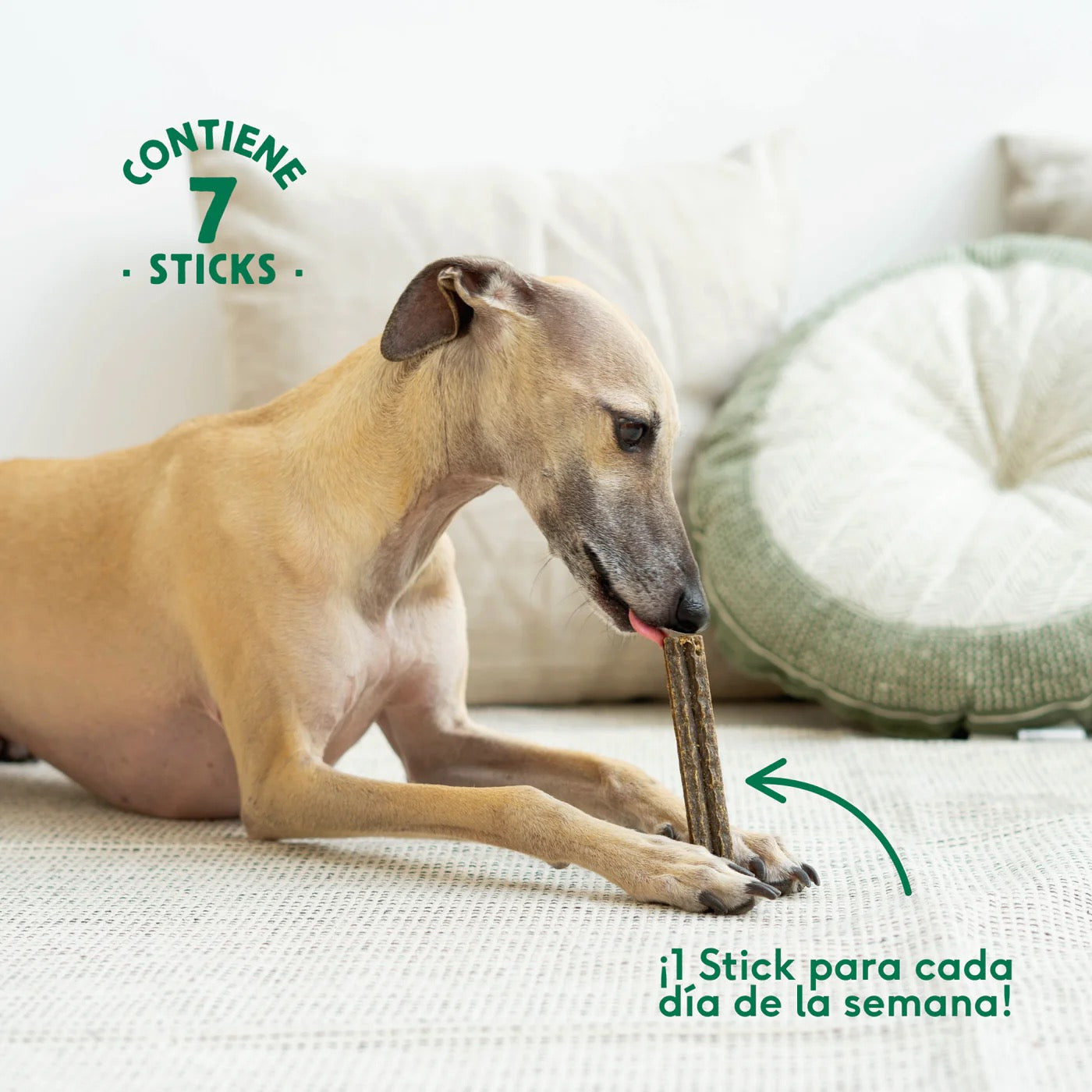 WILD BALANCE - STICKS DENTALES DE PAVO PARA PERROS