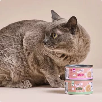 WOW CAT - SOPA DE SALMÓN PARA GATOS