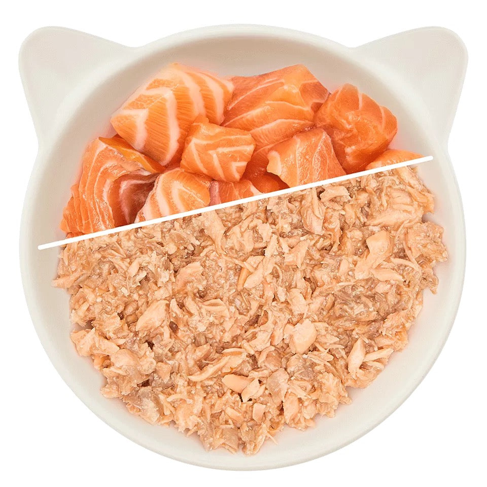 WOW CAT - LATA FILETES DE SALMÓN PARA GATOS