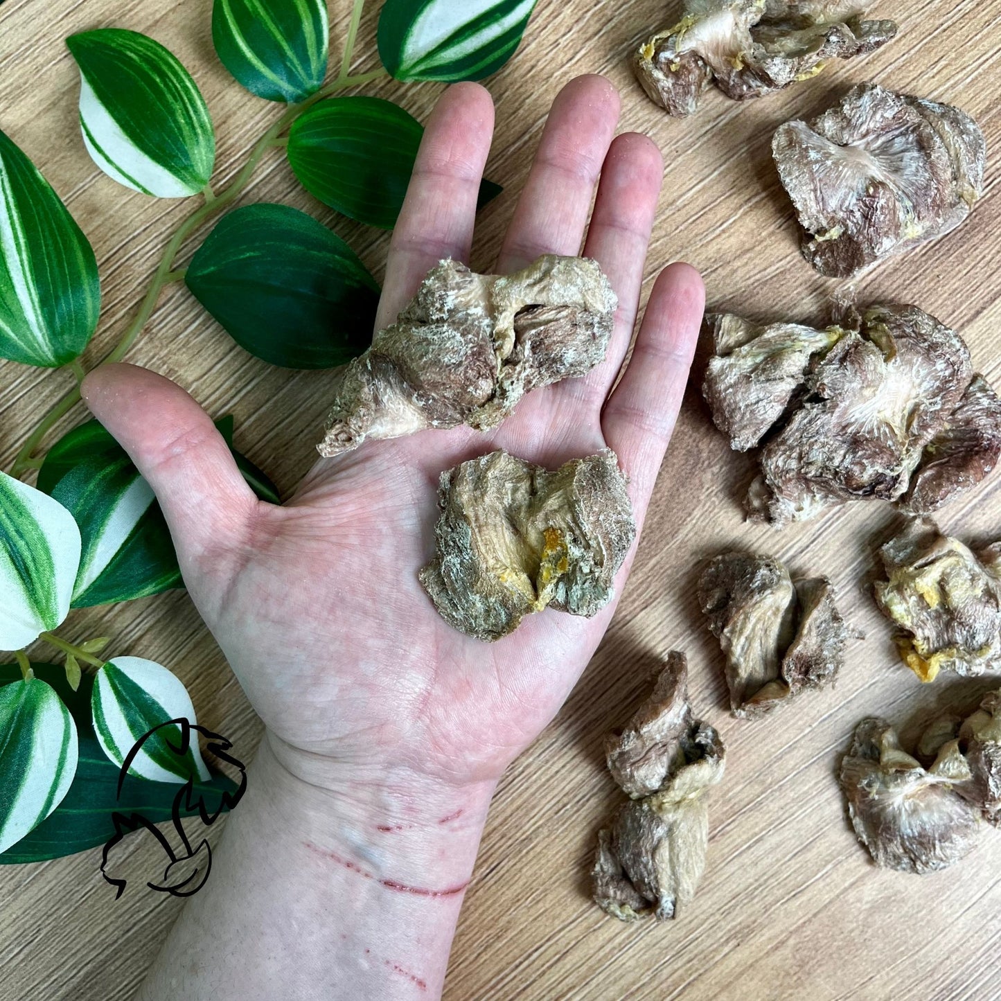 NATUREXTRA - MOLLEJAS DE POLLO LIOFILIZADAS PARA PERROS Y GATOS