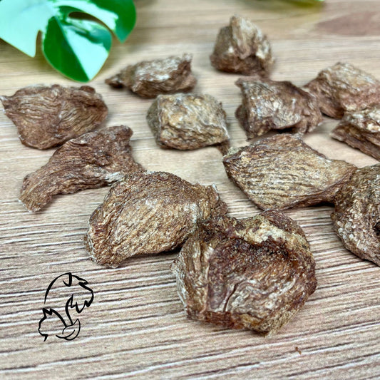 PECHUGA DE PATO LIOFILIZADA PARA PERROS
