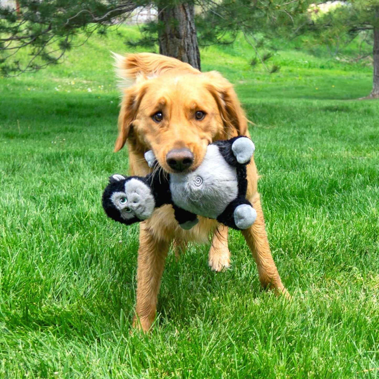 KONG - REMO - PARA PERROS