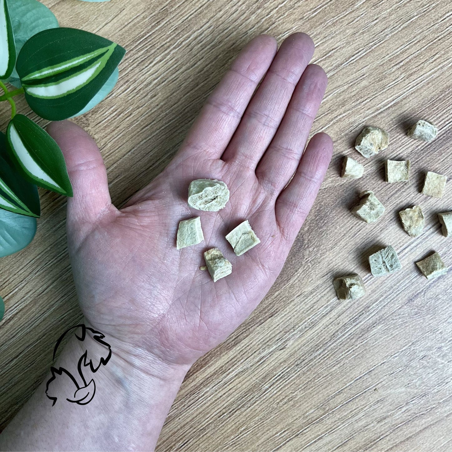 DOKAS - MOLLEJAS LIOFILIZADAS DE POLLO PARA GATOS