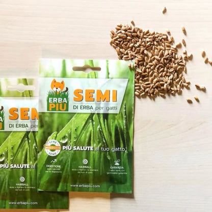 ERBA PIÚ - SEMI - SEMILLAS DE HIERBA PARA GATOS