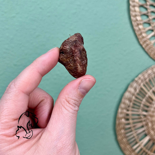 NATUREXTRA - CORAZÓNES DE POLLO LIOFILIZADOS PARA PERROS Y GATOS