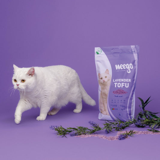 WEEGO - LAVENDER TOFU - ARENA AGLOMERANTE DE TOFU PARA GATOS