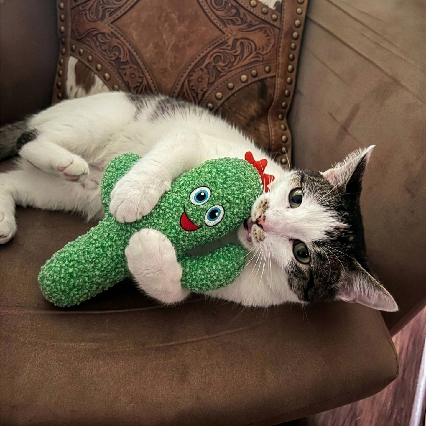 KONG - MARACA -  PARA GATOS