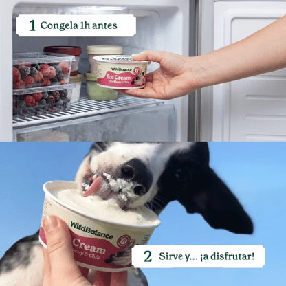 WILD BALANCE - YOGUR HELADO PARA PERROS Y GATOS