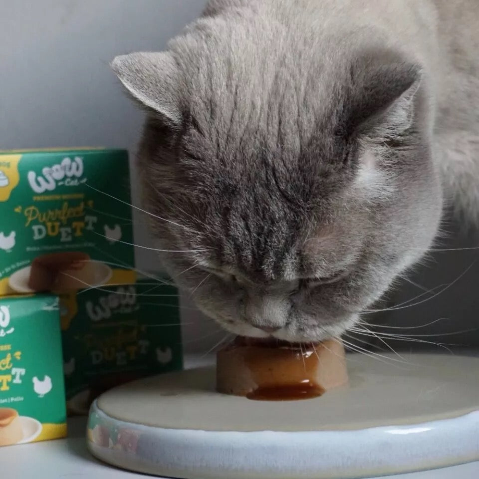 WOW CAT - PURRFECT DUETT DE POLLO PARA GATOS