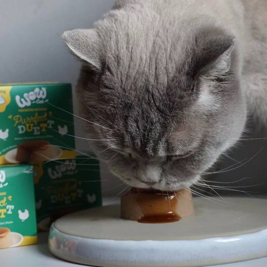 WOW CAT - PURRFECT DUETT DE POLLO PARA GATOS