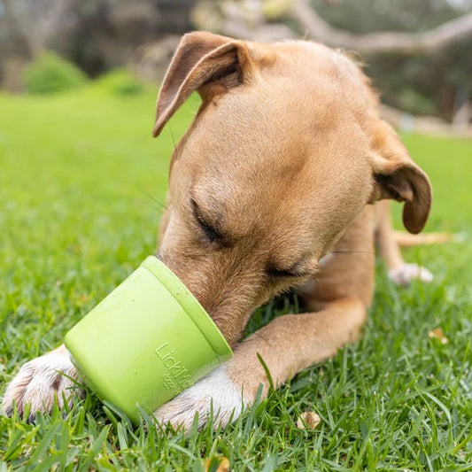 LICKIMAT - YOGGIE POT PARA PERROS