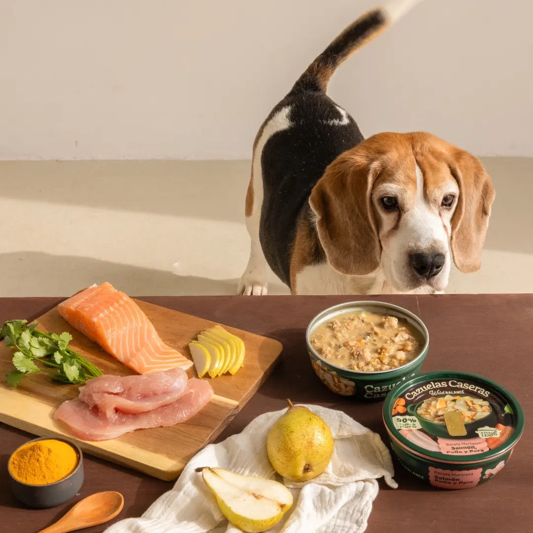 WILD BALANCE - CAZUELA CASERA DE SALMÓN Y POLLO CON PERA PARA PERROS