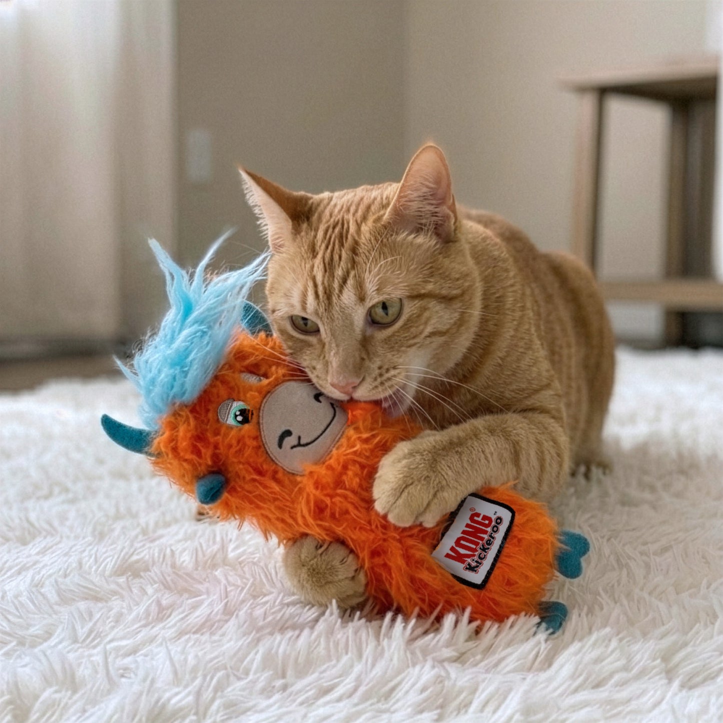 KONG -  MINI NANDO - PARA GATOS