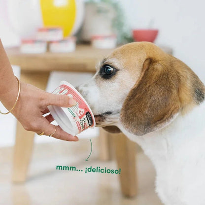 WILD BALANCE - YOGUR HELADO PARA PERROS Y GATOS