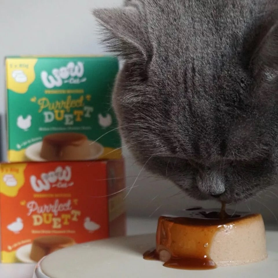 WOW CAT - PURRFECT DUETT DE PATO PARA GATOS