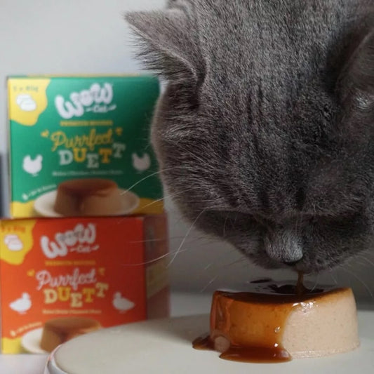 WOW CAT - PURRFECT DUETT DE PATO PARA GATOS