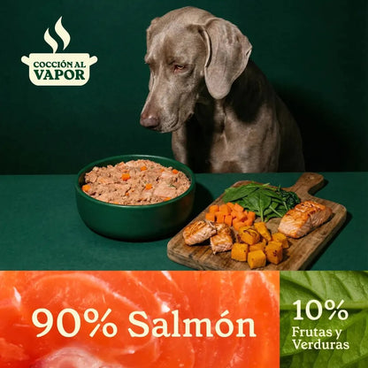 WILD BALANCE - MENÚ COCINADO DE SALMÓN PARA PERROS
