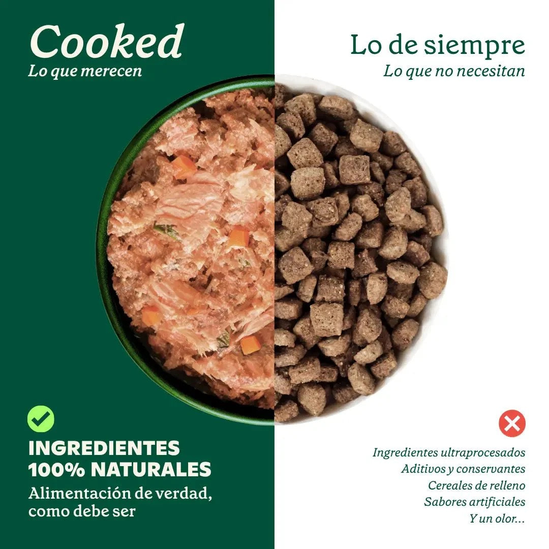 WILD BALANCE - MENÚ COCINADO DE SALMÓN PARA PERROS