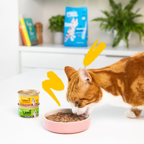 EDGARD & COOPER - LATA TROCITOS DE POLLO CON CORDERO Y VACUNO EN SALSA PARA GATOS