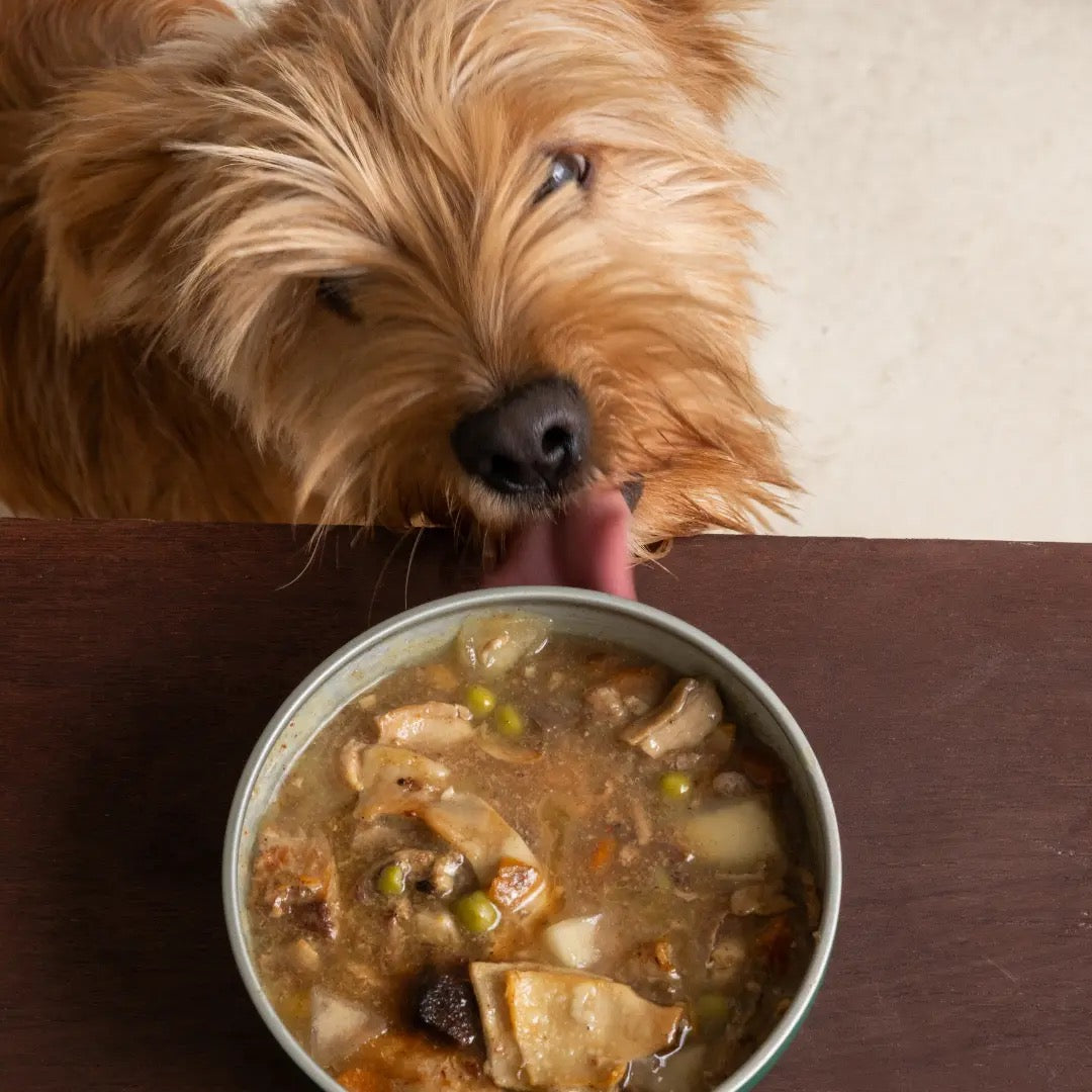 WILD BALANCE - CAZUELA CASERA DE CERDO CON MANZANA Y CALABAZA PARA PERROS