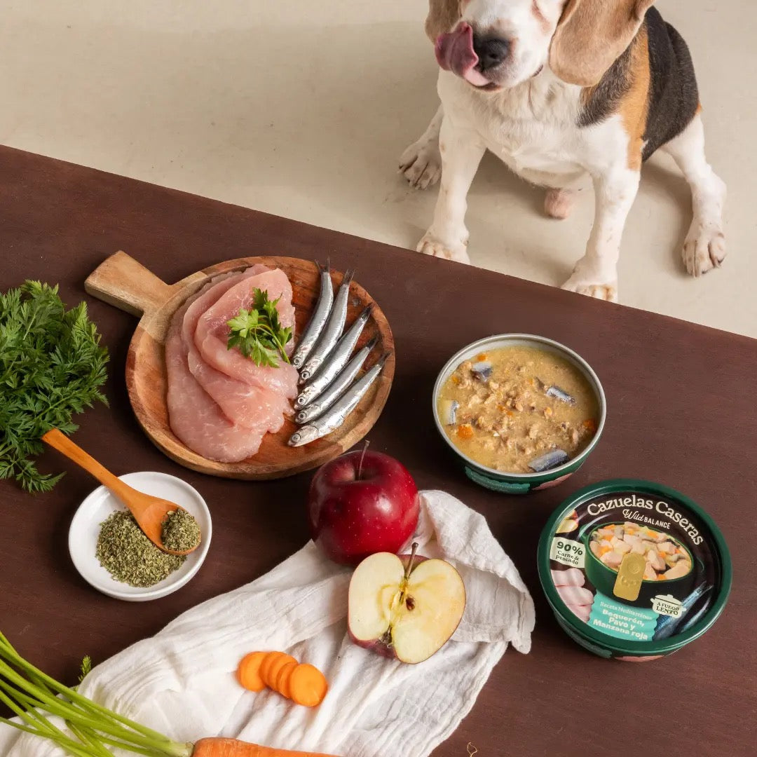 WILD BALANCE - CAZUELA CASERA DE BOQUERÓN Y PAVO CON MANZANA PARA PERROS