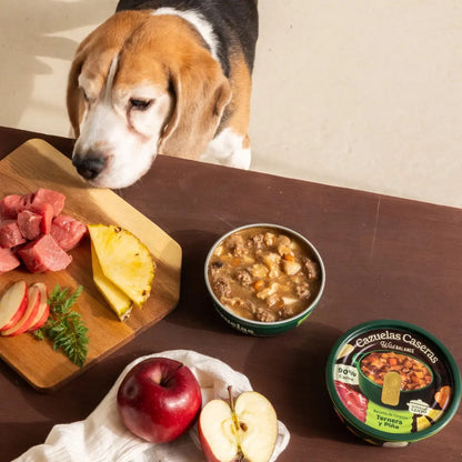 WILD BALANCE - CAZUELA CASERA DE TERNERA CON ZANAHORIA Y PIÑA PARA PERROS