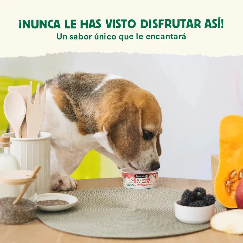 WILD BALANCE - YOGUR HELADO PARA PERROS Y GATOS