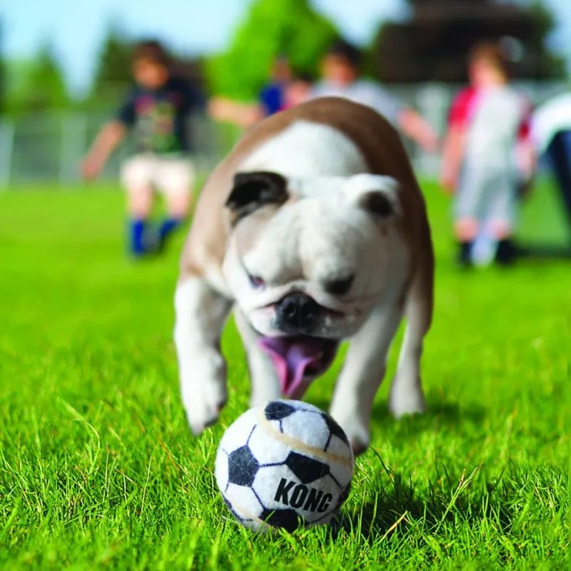 KONG - PELOTA FÚTBOL PARA PERROS