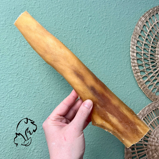 CARAVACA DE 30CM. PARA PERROS