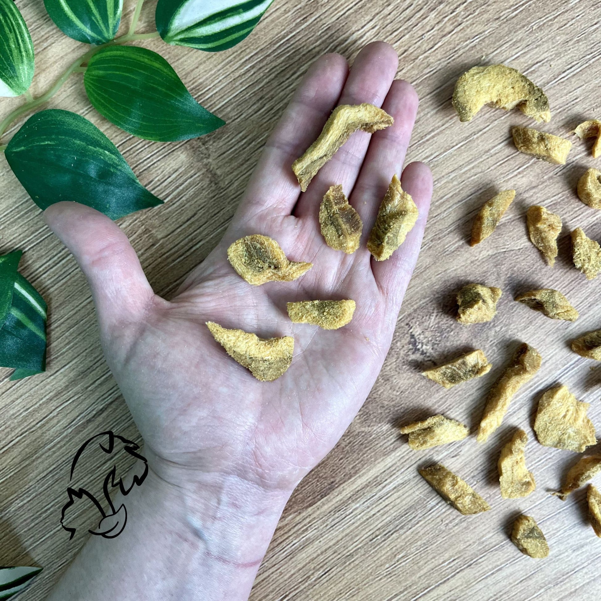 detalle de los premios pure bites de salmón liofilizado de la marca cat´s love para gatos