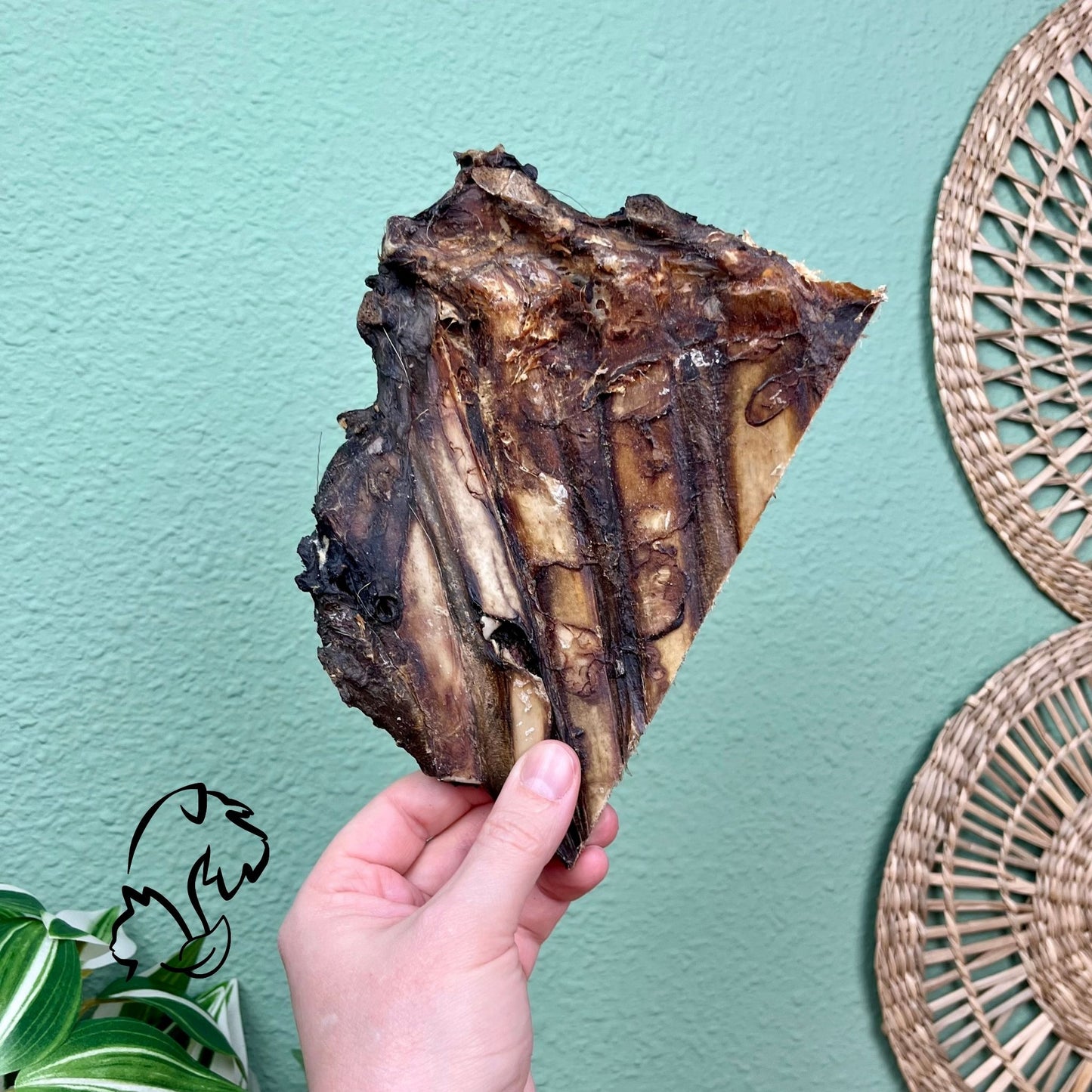 COSTILLA DE VENADO PARA PERROS