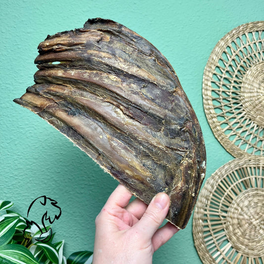 COSTILLA DE VENADO PARA PERROS