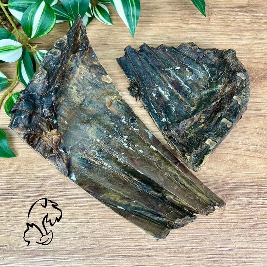 COSTILLA DE VENADO PARA PERROS