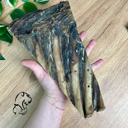 COSTILLA DE VENADO PARA PERROS