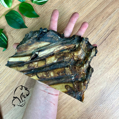 COSTILLA DE VENADO PARA PERROS