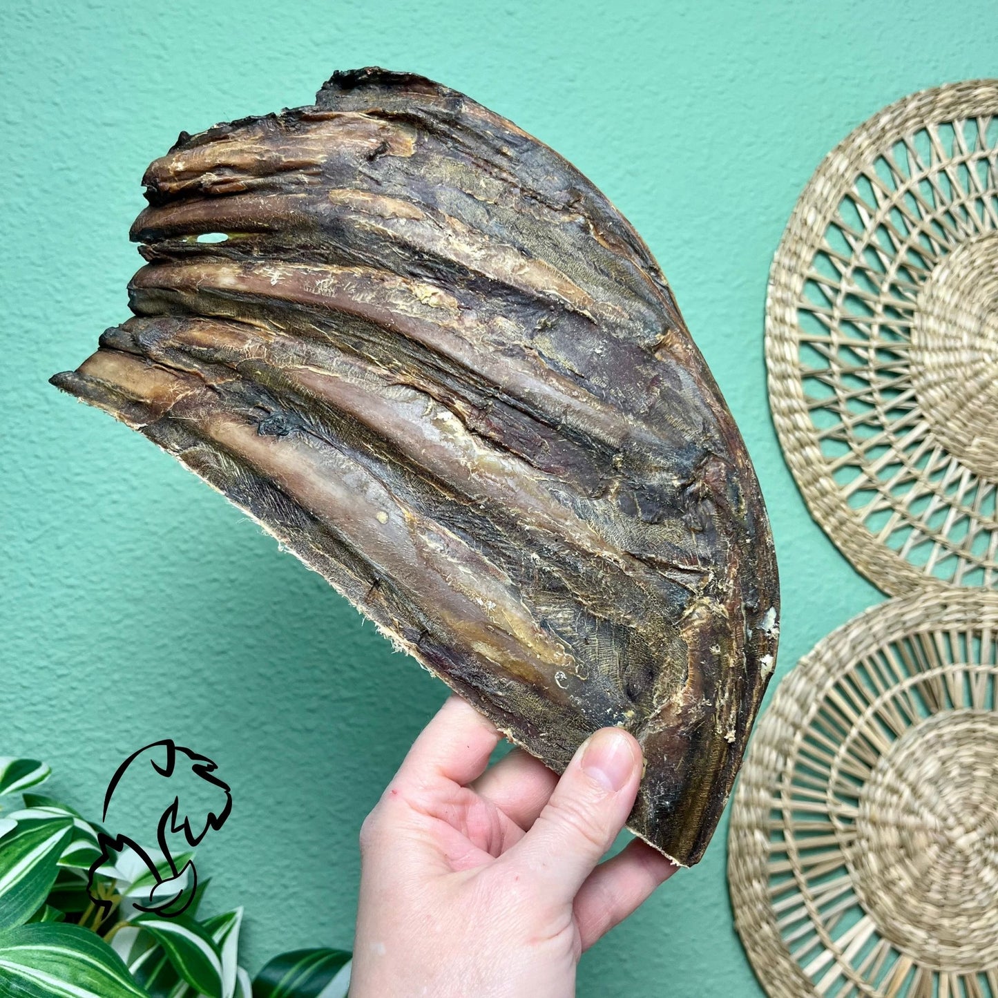 COSTILLA DE VENADO PARA PERROS