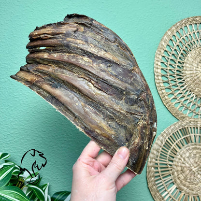 COSTILLA DE VENADO PARA PERROS