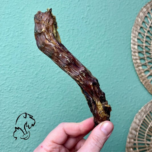 CUELLOS DE PATO PARA PERROS