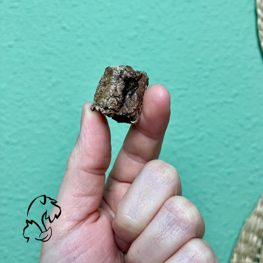 DADOS DE PULMÓN DE VACUNO PARA PERROS Y GATOS