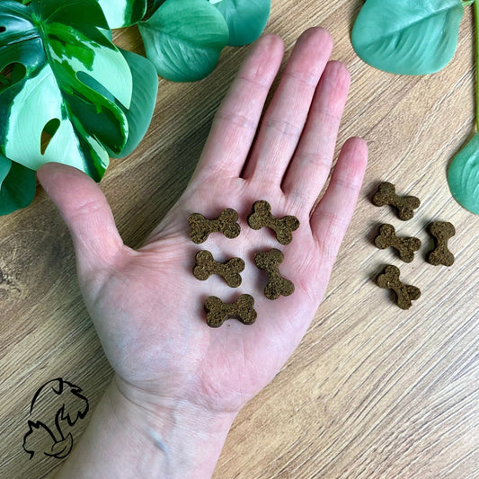 DINGONATURA - SNACKS MOMENTS DE CERDO IBÉRICO PARA PERROS