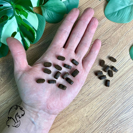 DINGONATURA - SNACKS MOMENTS LIGHT DE PAVO PARA PERROS