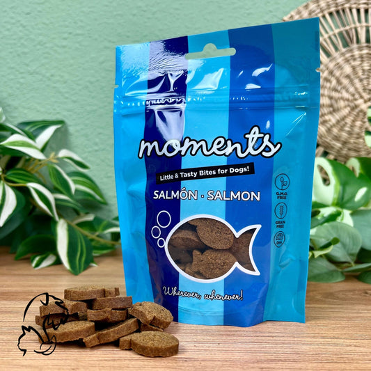 DINGONATURA - SNACKS MOMENTS DE SALMÓN PARA PERROS