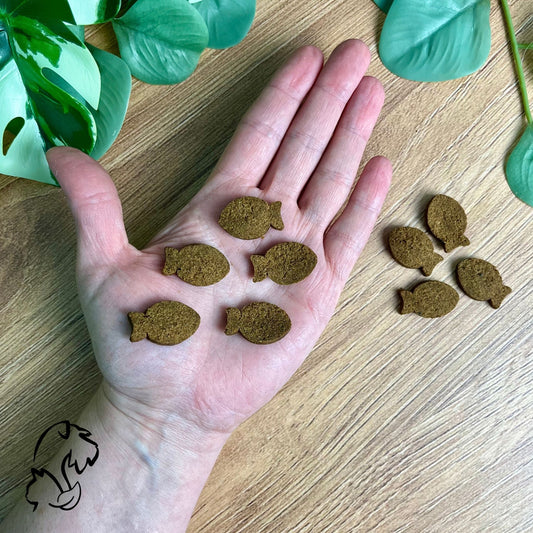 DINGONATURA - SNACKS MOMENTS DE SALMÓN PARA PERROS