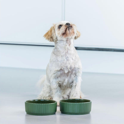 DOG COPENHAGEN - BOL KRONBORG VERDE MENTA PARA PERROS (Y GATOS)
