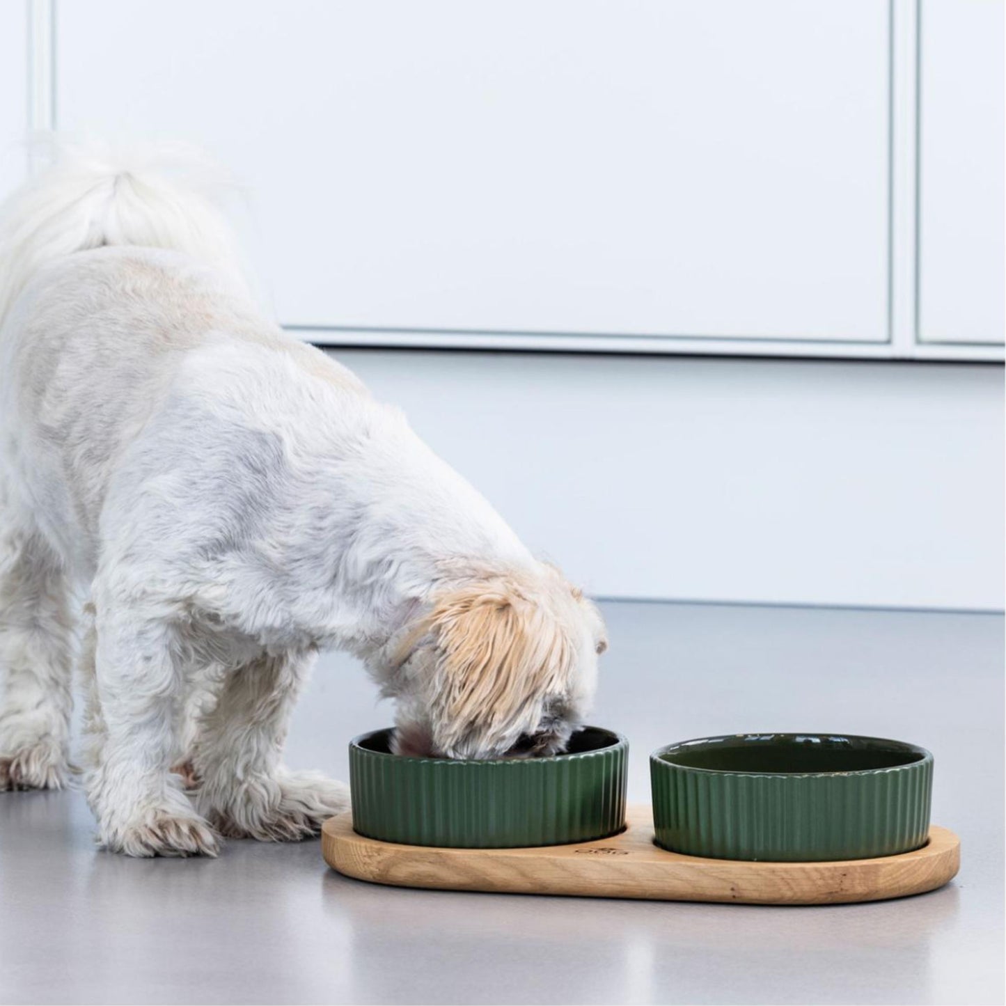 DOG COPENHAGEN - JUEGO KRONBORG VERDE RACING PARA PERROS
