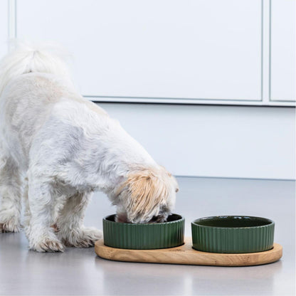 DOG COPENHAGEN - JUEGO KRONBORG VERDE RACING PARA PERROS