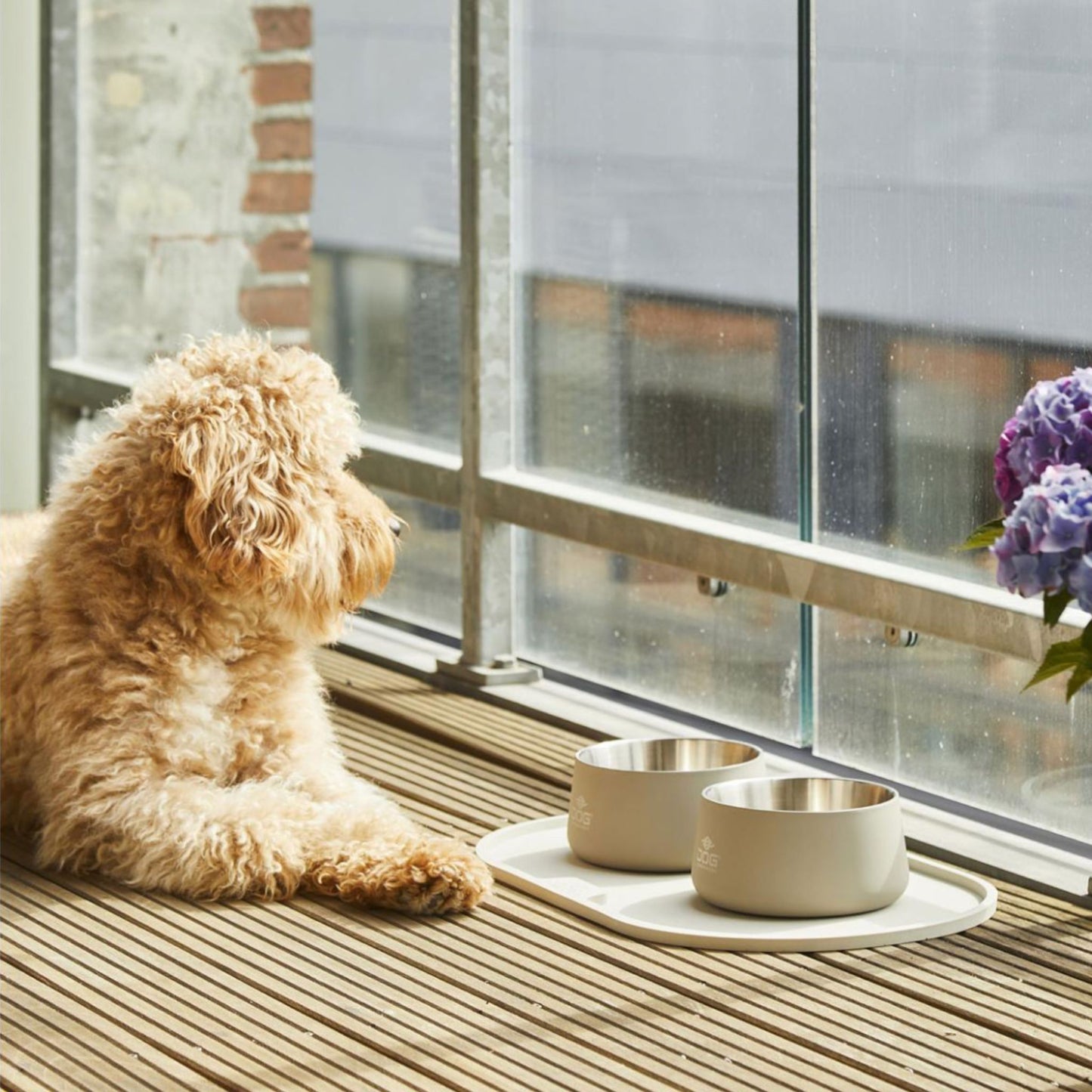 DOG COPENHAGEN - BOL VEGA CAFÉ CON LECHE PARA PERROS (Y GATOS)