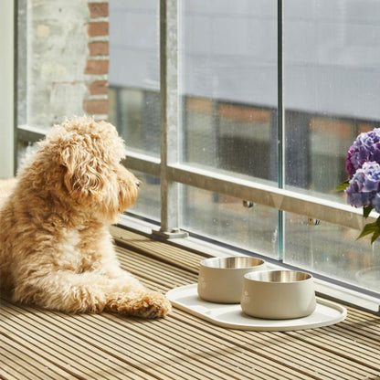 DOG COPENHAGEN - BOL VEGA CAFÉ CON LECHE PARA PERROS (Y GATOS)
