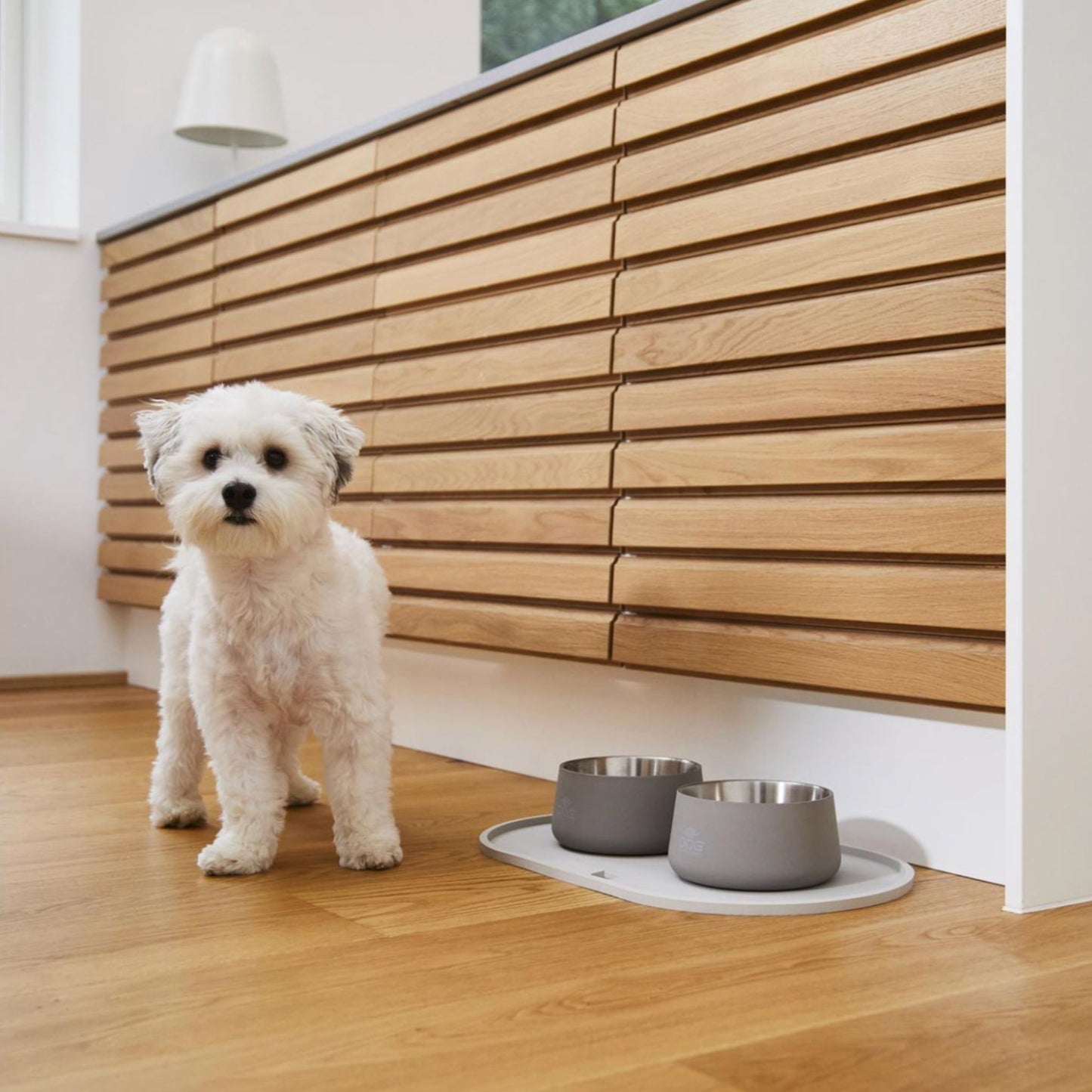 DOG COPENHAGEN - BOL VEGA GRIS FRÍO PARA PERROS (Y GATOS)